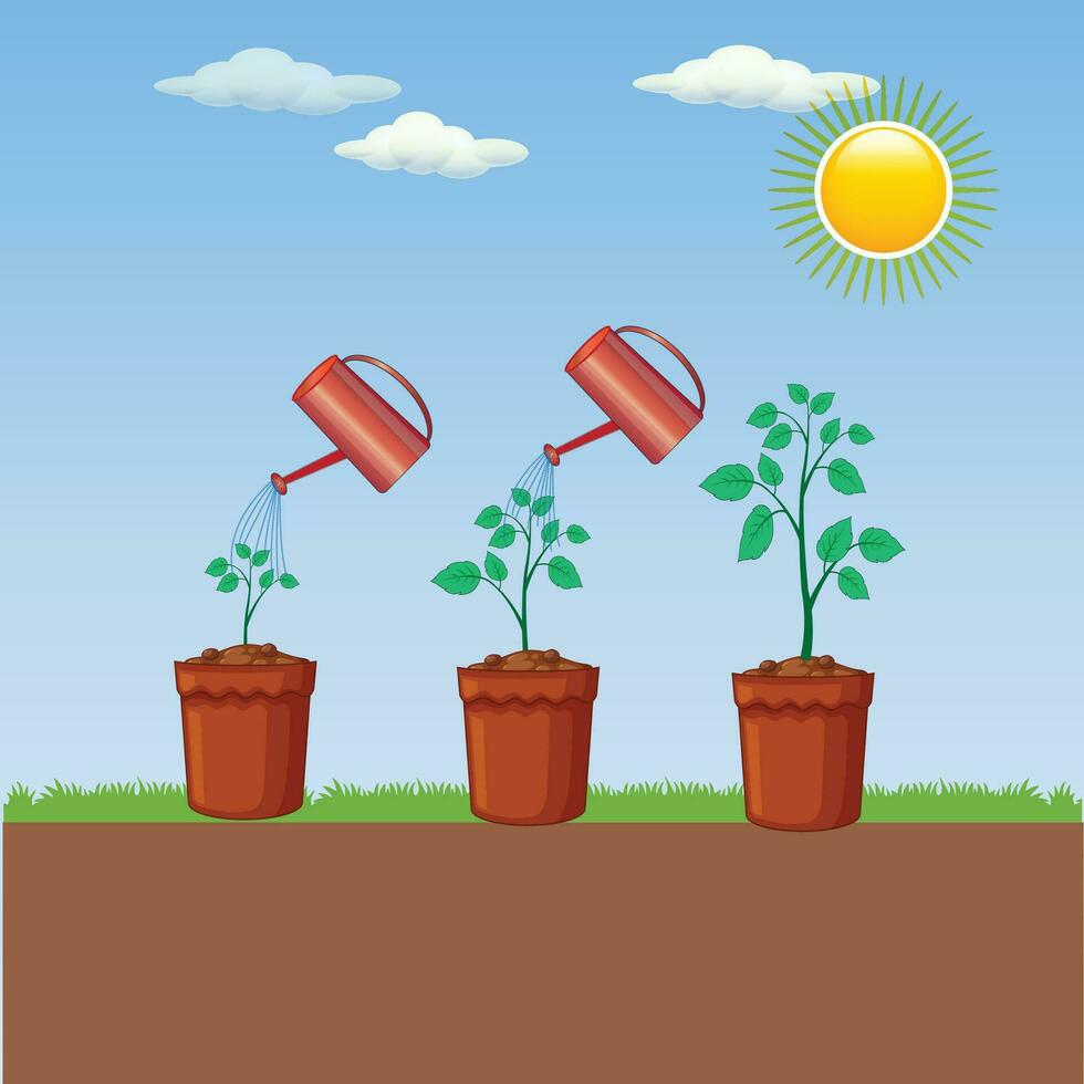 Pflanze Bewässerung ist das wesentlich trainieren von Bereitstellung Pflanzen mit das richtig Menge von Wasser zu pflegen ihr Gesundheit, Wachstum, und Hydratation. vektor