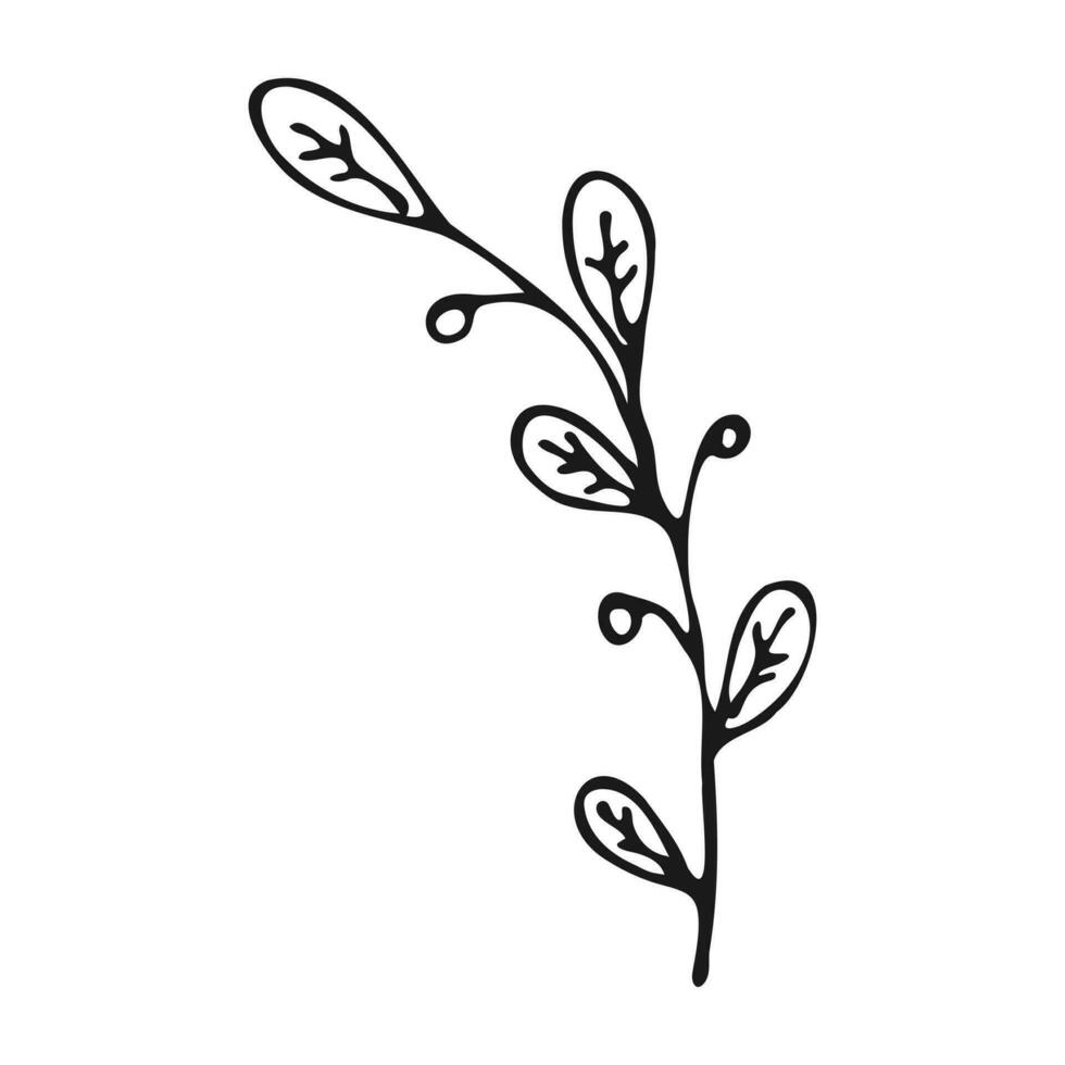 en svart och vit teckning av en gren med löv vektor