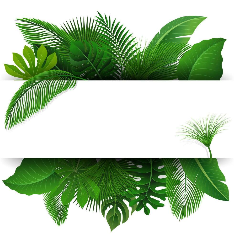 Zeichen mit Text Raum von tropisch Blätter. geeignet zum Natur Konzept, Urlaub, und Sommer- Urlaub, Vektor Illustration