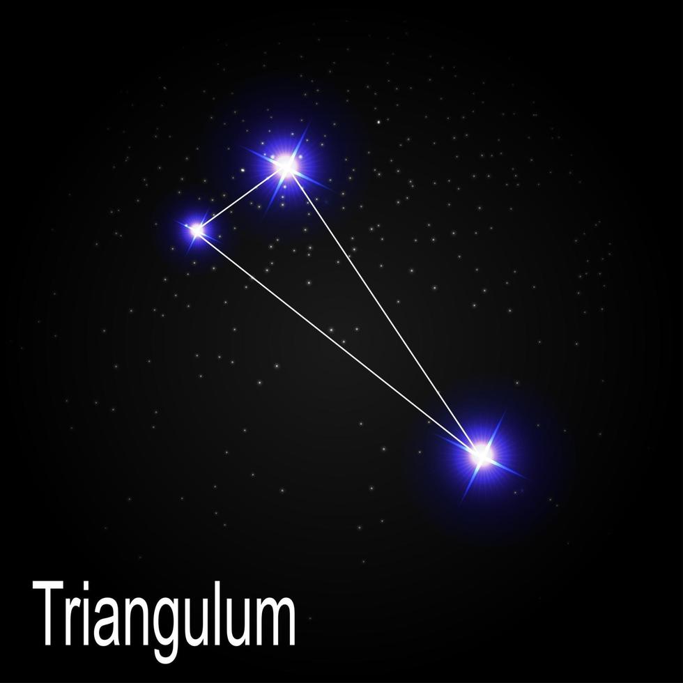 Triangulum-Konstellation mit schönen hellen Sternen auf dem Hintergrund der kosmischen Himmelsvektorillustration vektor