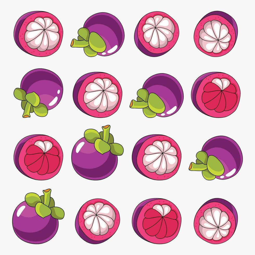 mangostan tropisk exotisk frukt mönster digital vektor stock illustrationer