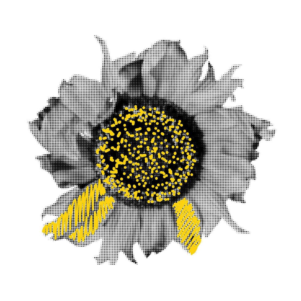 Sonnenblume Halbton Collage Element Vektor Illustration
