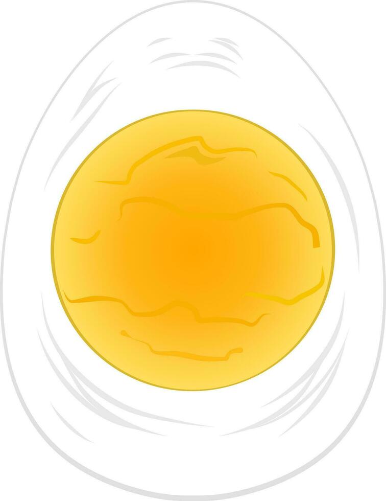 koka upp ägg hård fullt kokta äggula frukost ClipArt lutning design illustration vektor