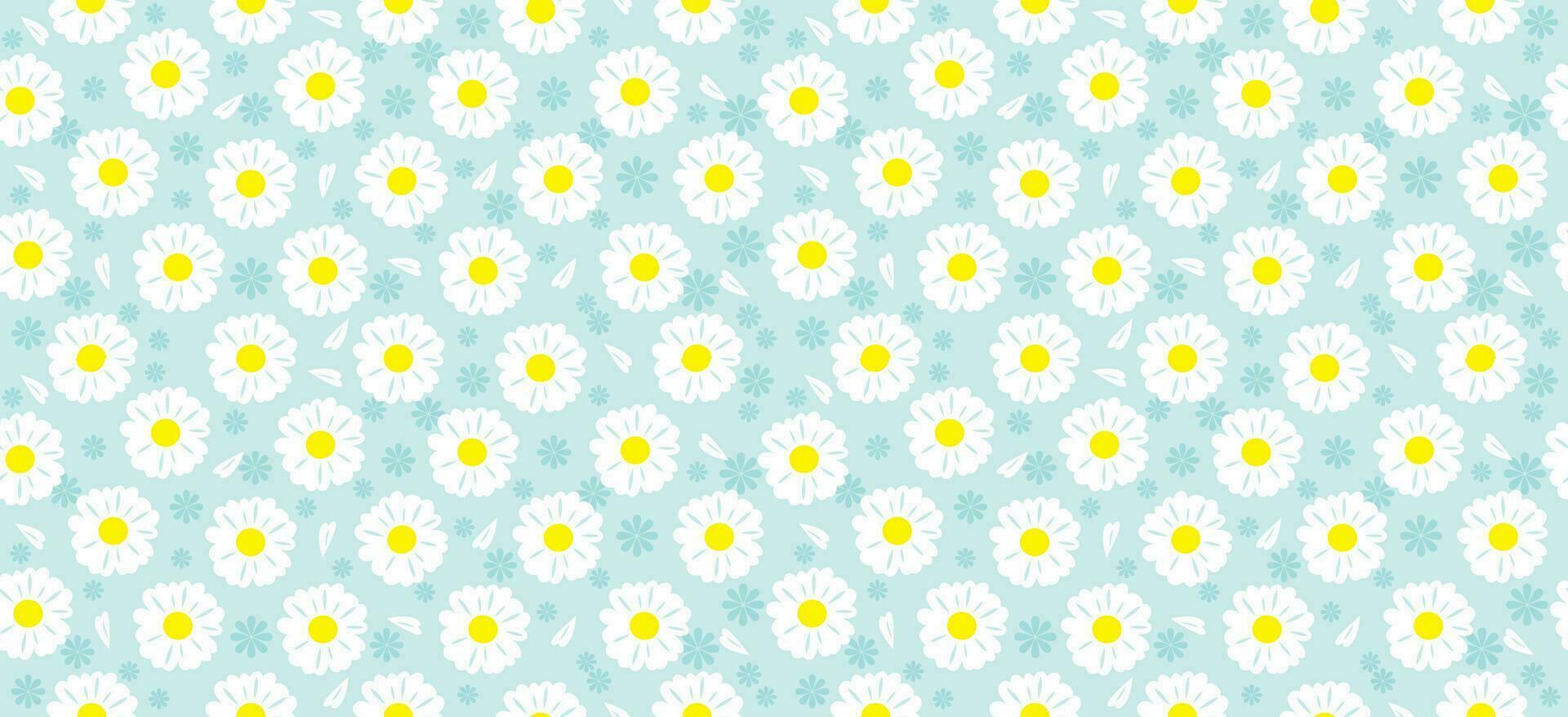 daisy blomma mönster. skön vit blomma bakgrund. blommig blomma daisy. vår vit blomma design vektor. tusenskönas på en ljus blå bakgrund. vektor design för tyg, slå in papper, skriva ut kort.