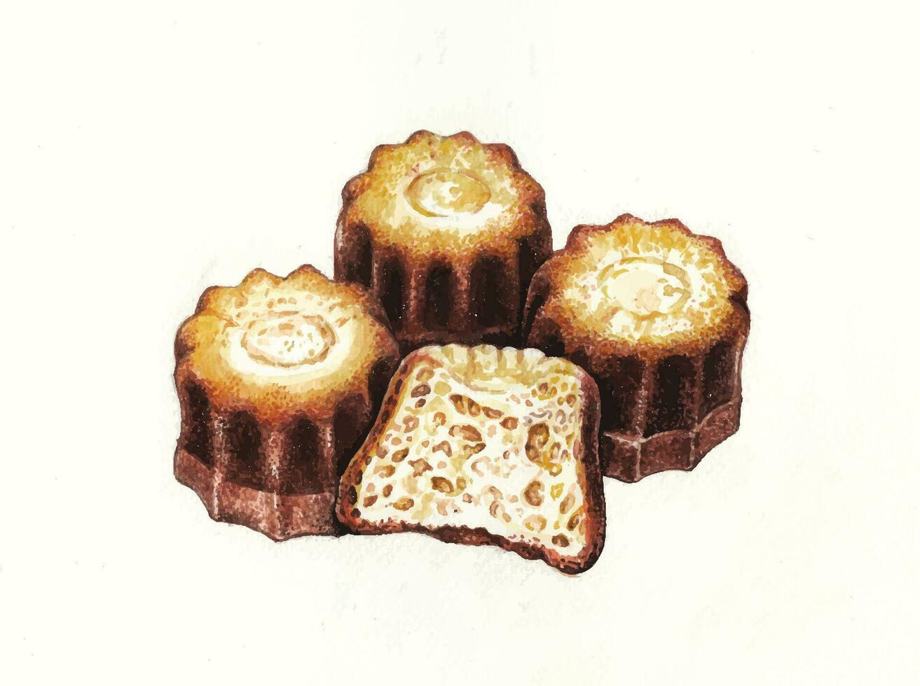 canele av bordeaux hand vattenfärg målning på papper göra grafisk vektor. vektor