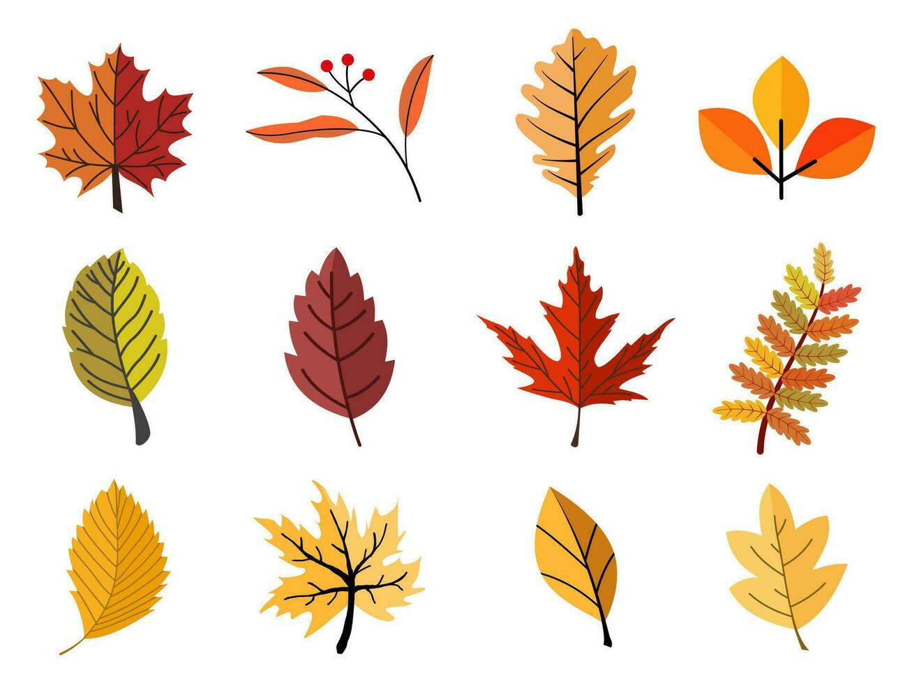 Blätter Pflanze bunt und Elemente zum Herbst Jahreszeit auf Weiß Hintergrund. vektor