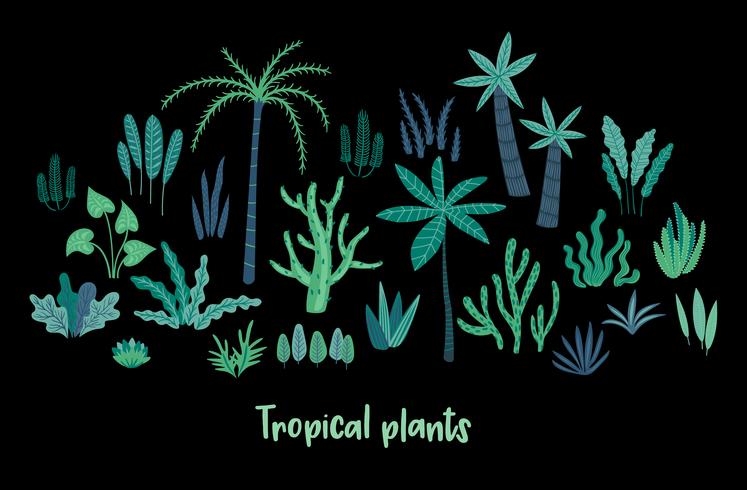 Vektor uppsättning abstrakta tropiska växter. Designelement