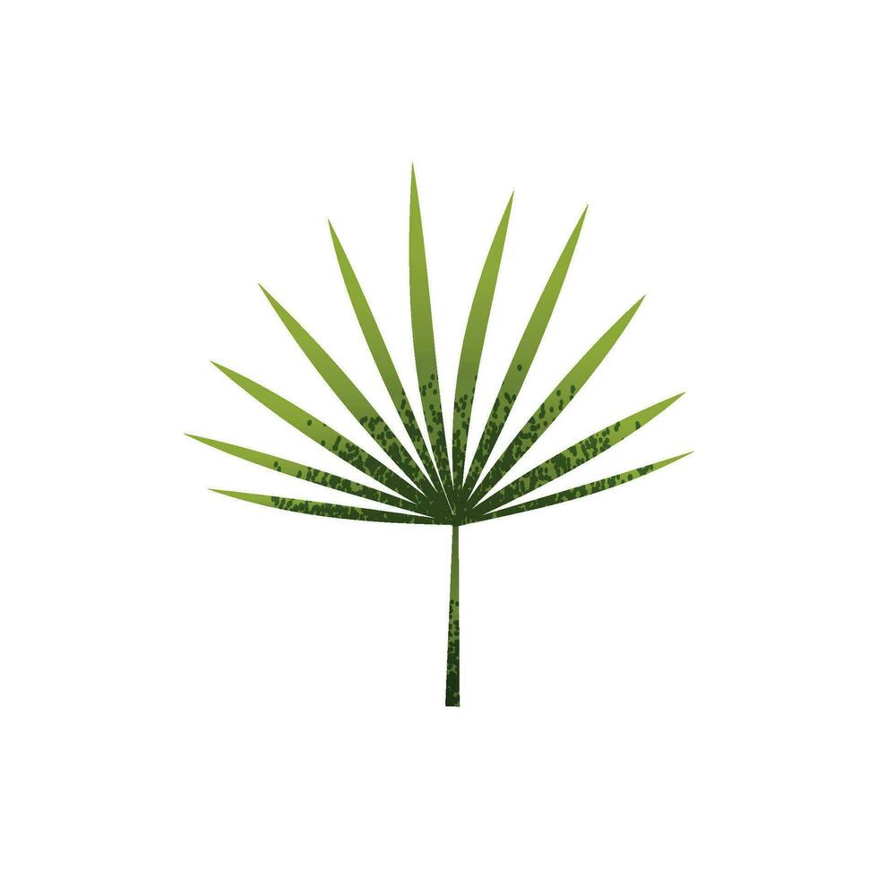 tropisch Grün Blätter isoliert Illustration vektor