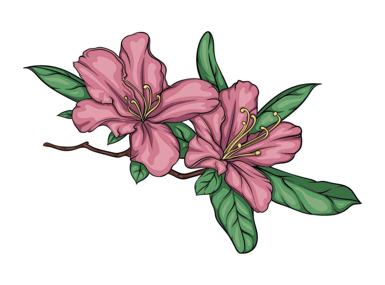 blühen Ast von Rhododendron, Hibiskus, Chinesisch Rose mit Blumen und Blätter. Farbe Vektor Illustration