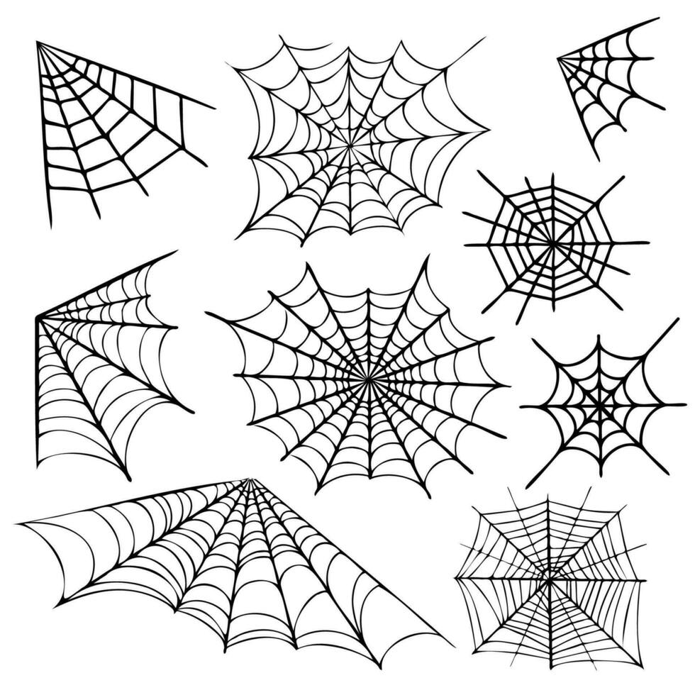 fira halloween med elegans, invecklad svart spindelväv på en rena vit duk. idealisk för läskigt säsong mönster och dekorationer. svart halloween spindelväv på vit bakgrund. perfekt för halloween. vektor