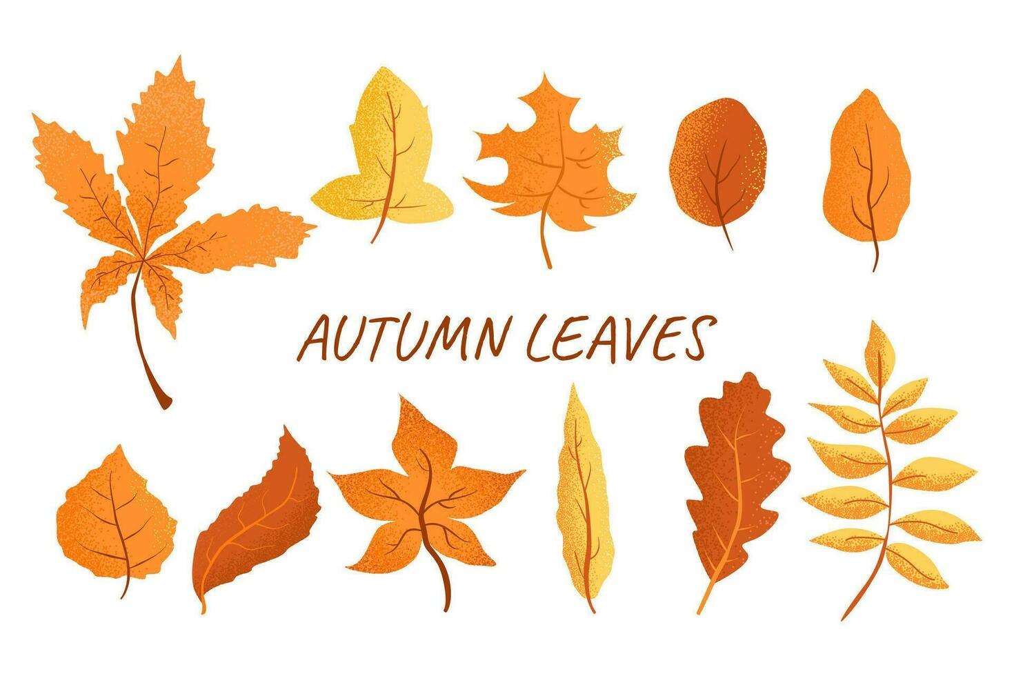 uppsättning av höst löv. gul, röd, orange, brun löv. isolerat på vit bakgrund. hand dragen vektor höst löv.fallna torr löv. stock vektor illustration
