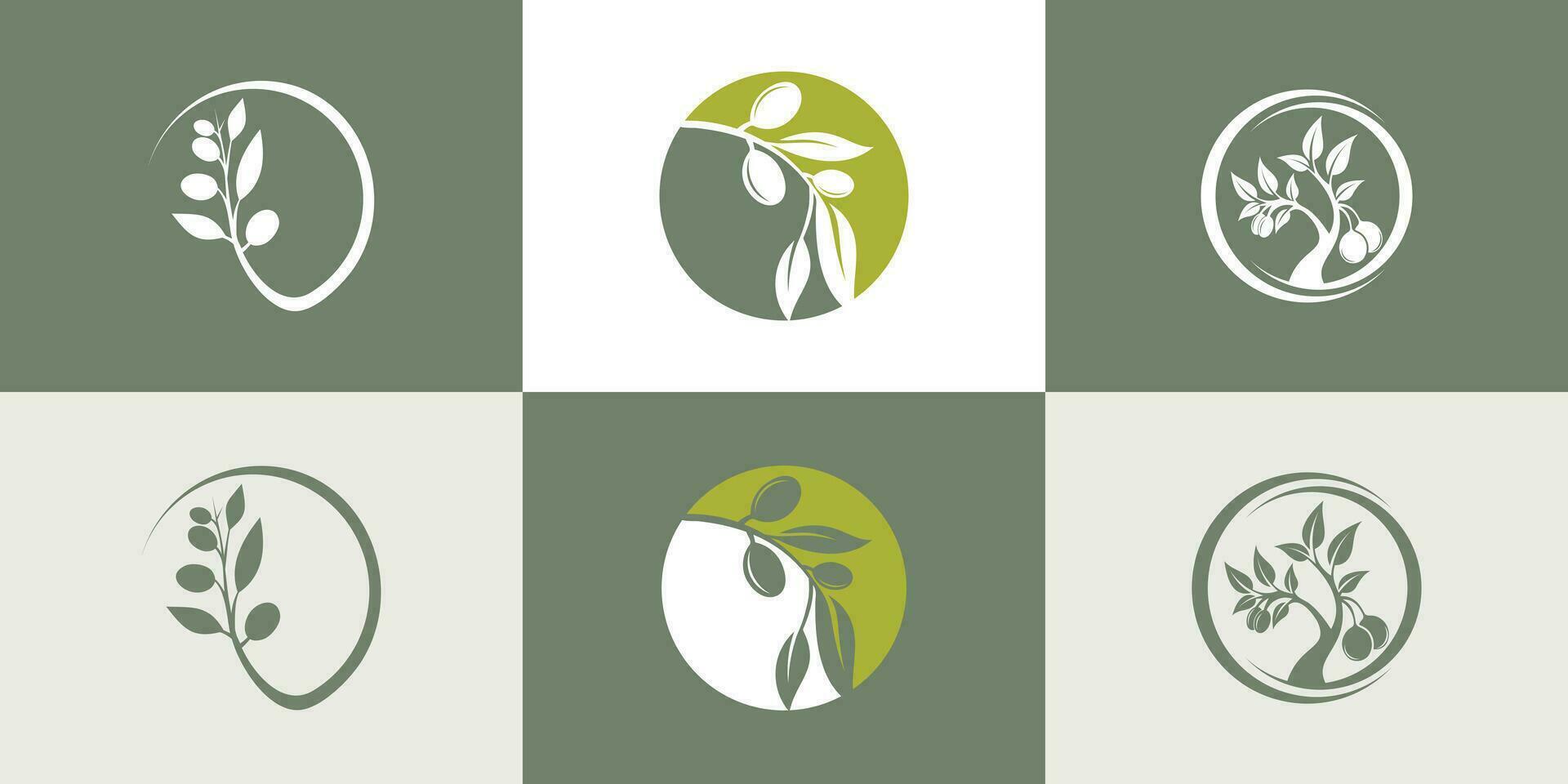 einstellen von kreativ Olive Logo Vorlage. Olive Öl, wesentlich Olive Öl, feminin Schönheit, Mode Geschäft Prämie Vektor