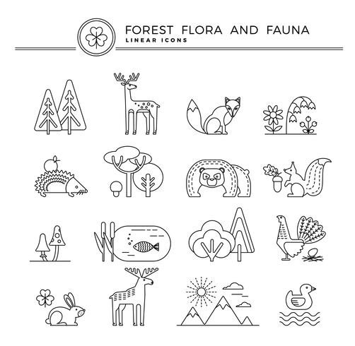 Vektor linjära ikoner av skogsflora och fauna.