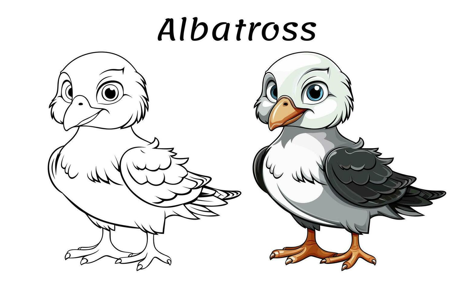 süß Albatros Tier Färbung Buch Illustration Profi Vektor