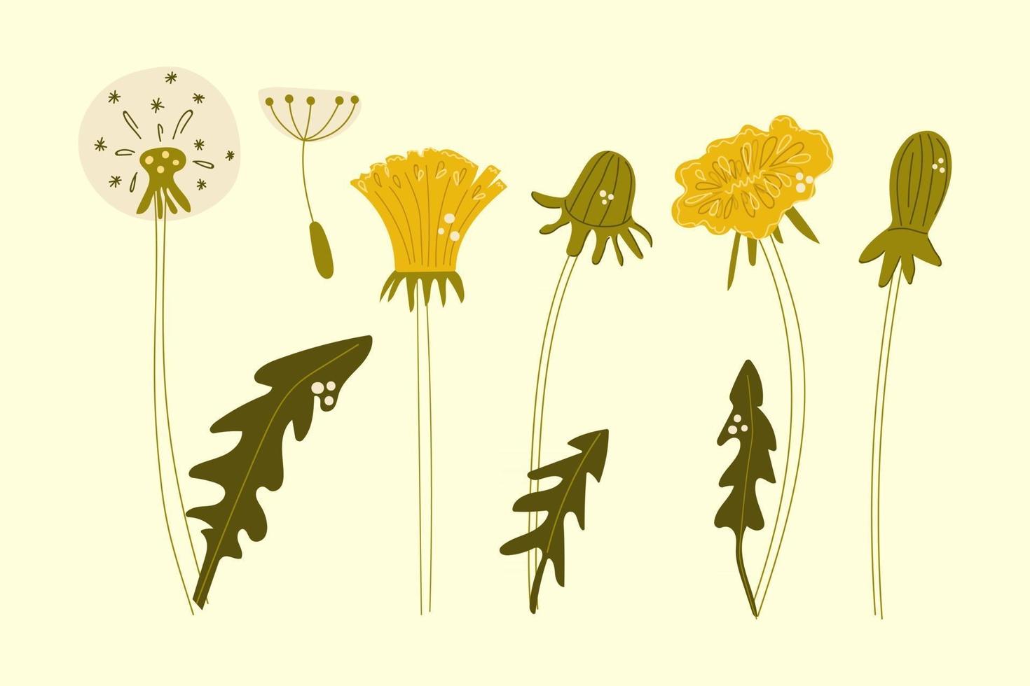 handgezeichnete reihe von löwenzahnblumen. flache Abbildung. vektor