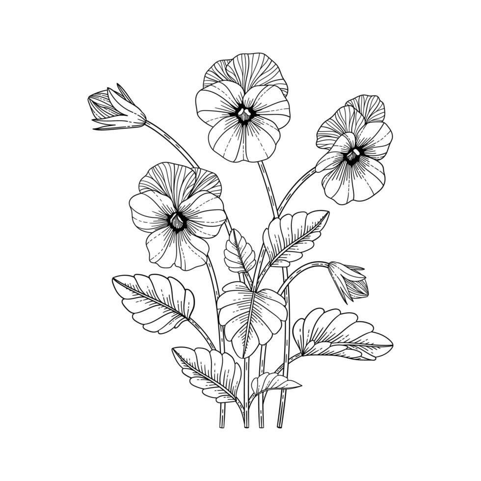 handritad pensé blommig illustration. vektor