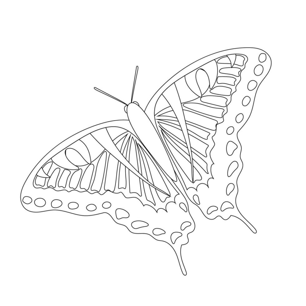 fjäril färg bok för barn i svart och vit isolerat på en vit bakgrund. vektor illustration av en fjäril med skön öppen vingar för barns material.