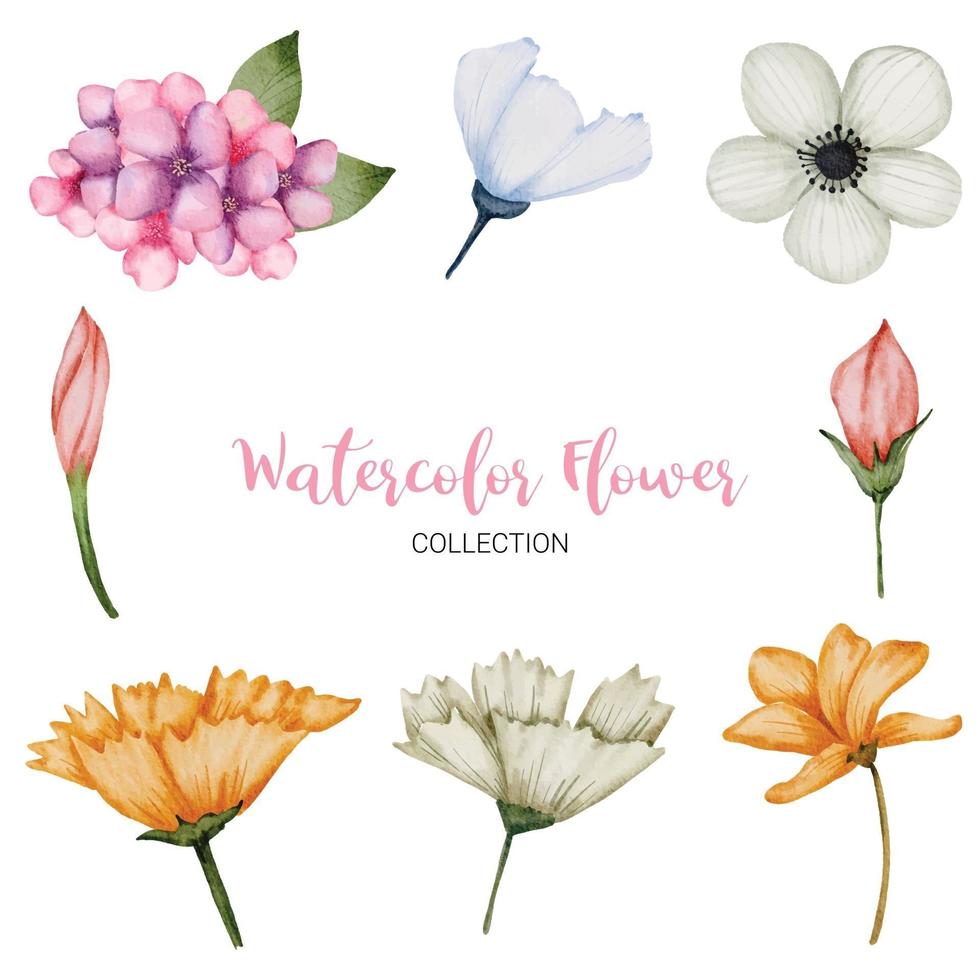 många sorters vackra blommor i vattenfärgstil vektor