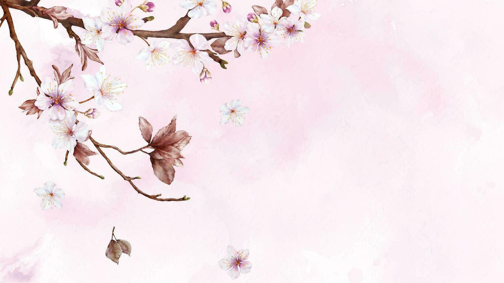 vattenfärg konst av körsbär blomma gren och rosa sakura blomma på fläckar bakgrund vektor