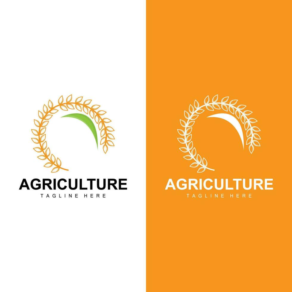Reis Logo, Bauernhof Weizen Logo Design, Vektor Symbol Symbol Grafik Illustration