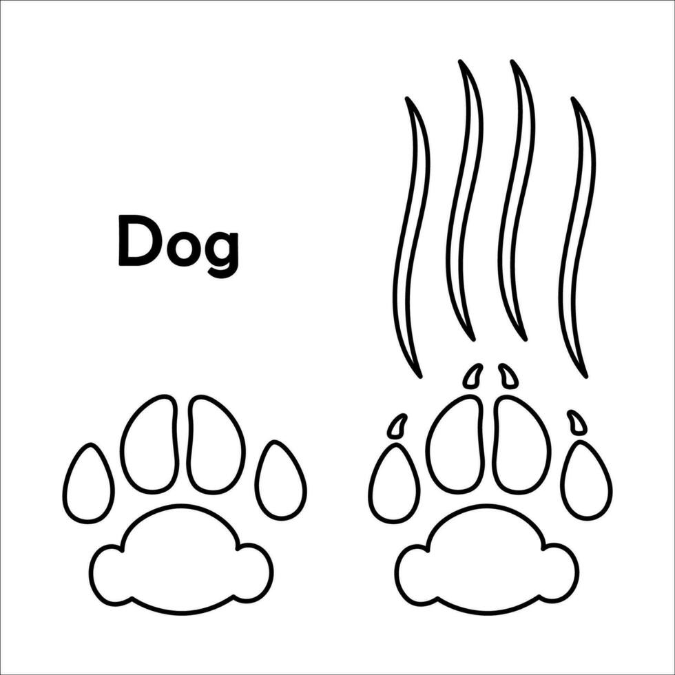 hund Tass skriva ut med klo märken och repor svart och vit översikt klotter teckning vektor