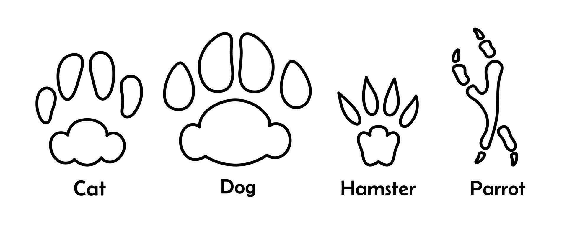 annorlunda sällskapsdjur tassar grafik översikt klotter ritningar uppsättning. katt, hund, papegoja och hamster fotavtryck svart och vit kontur vektor illustration. inhemsk djur spår isolerat på vit bakgrund.