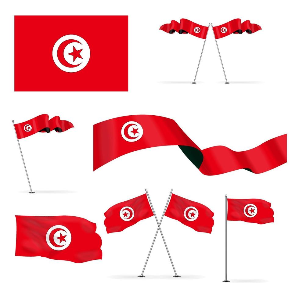 bunt med tunisisk flagga vektorbild vektor