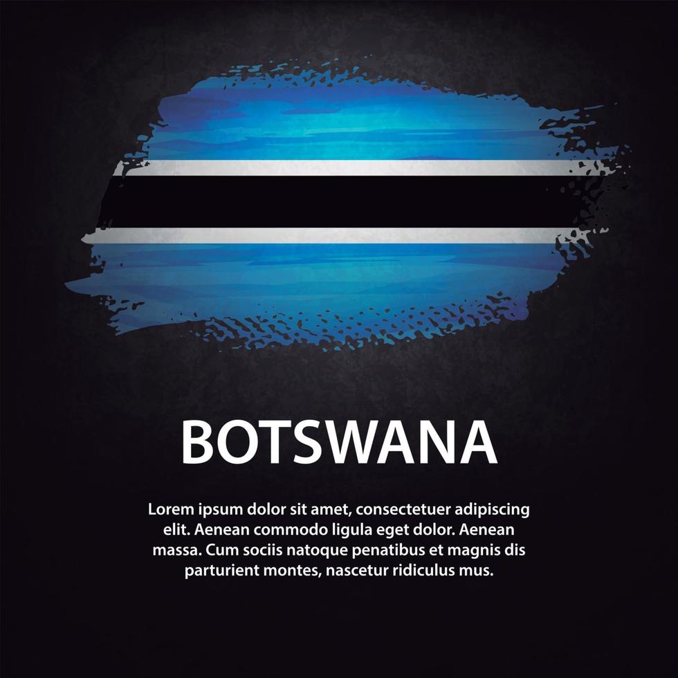 botswana flaggborste vektor