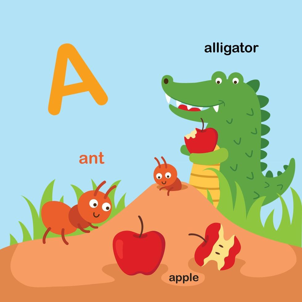 Abbildung isoliert Tier Alphabet Buchstaben a-ant, apple, alligator.vector vektor