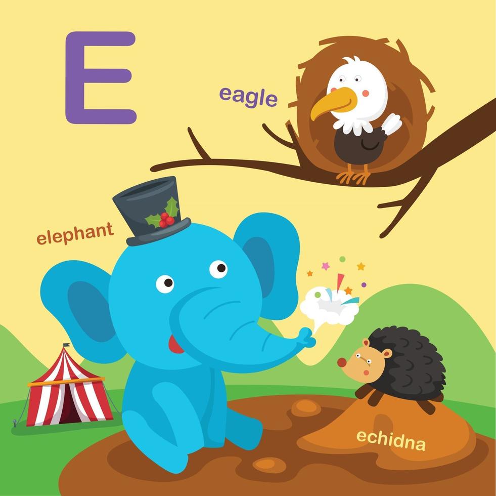 illustration isolerade alfabetet bokstaven e-örn, echidna, elefant. vektor