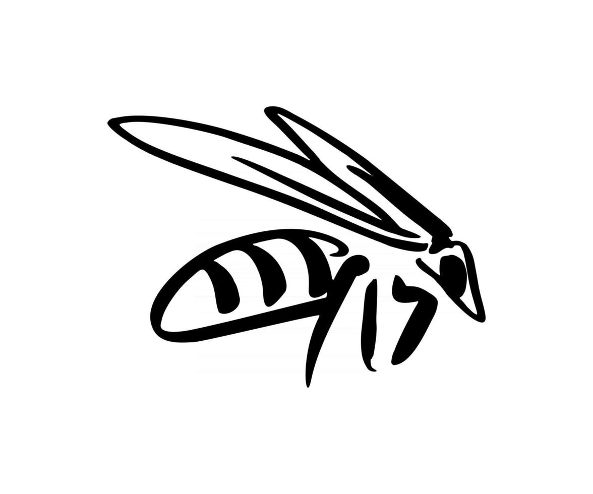 Wespeninsekt auf weißem Hintergrund vektor
