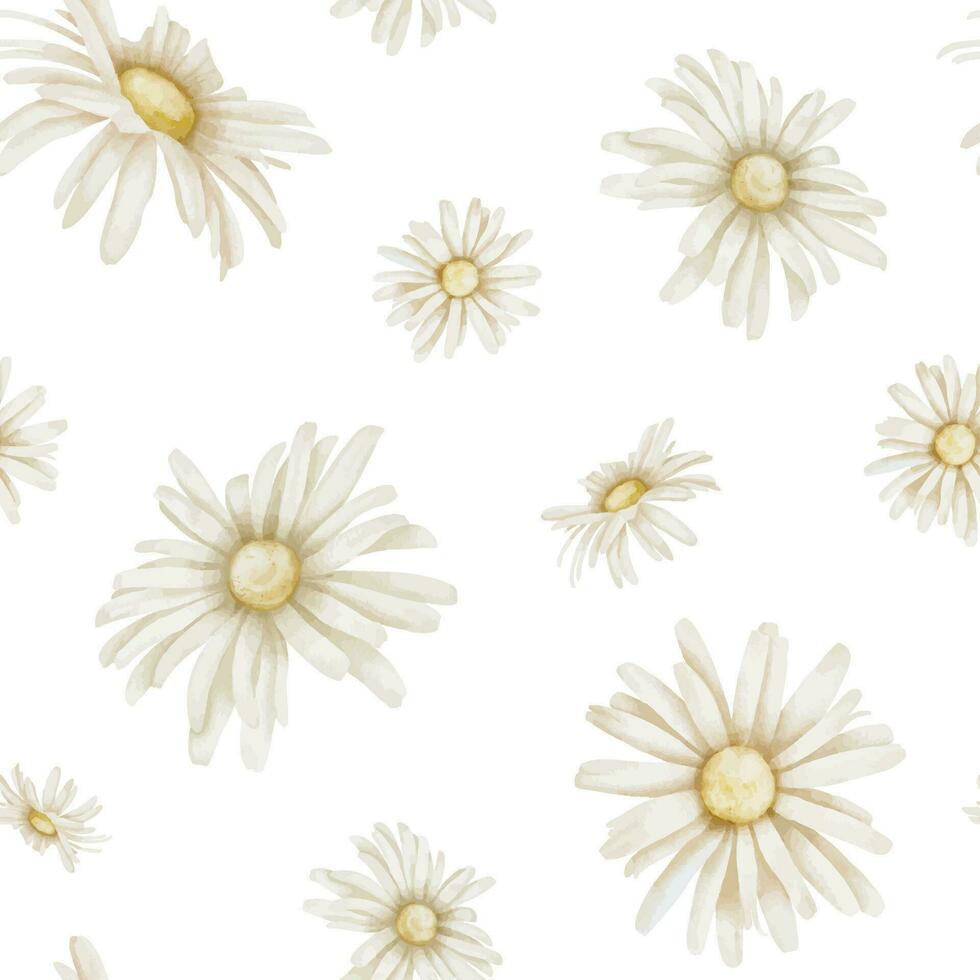 kamomill sömlös mönster. hand dragen vattenfärg prydnad med daisy blommor på vit isolerat bakgrund. blommig bakgrund för tapet eller omslag papper. botanisk rustik skriva ut för textil. vektor