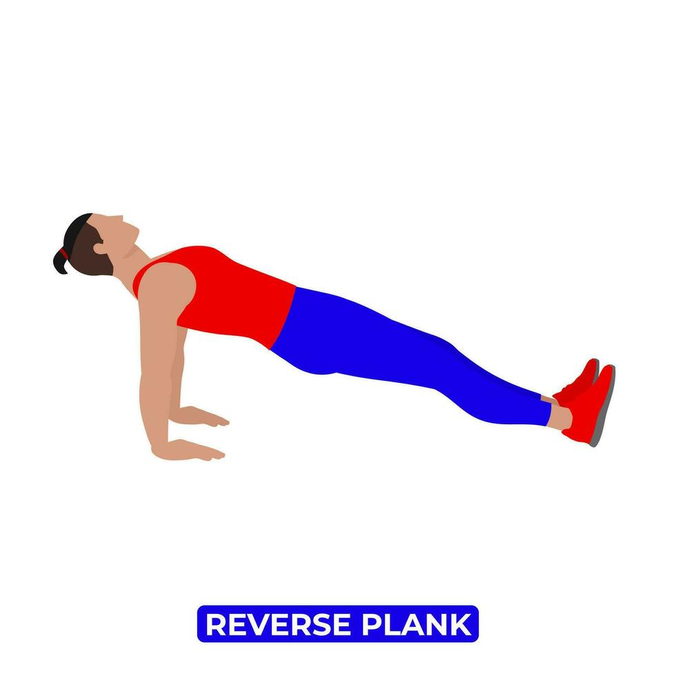 Vektor Mann tun umkehren Planke. purvottanasana. Körpergewicht Fitness Abs und Ader trainieren Übung. ein lehrreich Illustration auf ein Weiß Hintergrund.