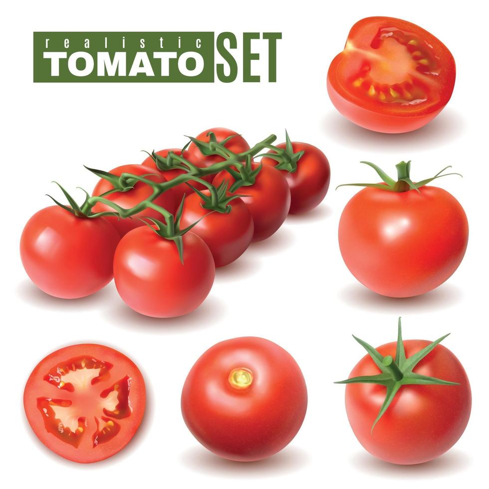 realistische tomatenfruchtsammlungsvektorillustration vektor