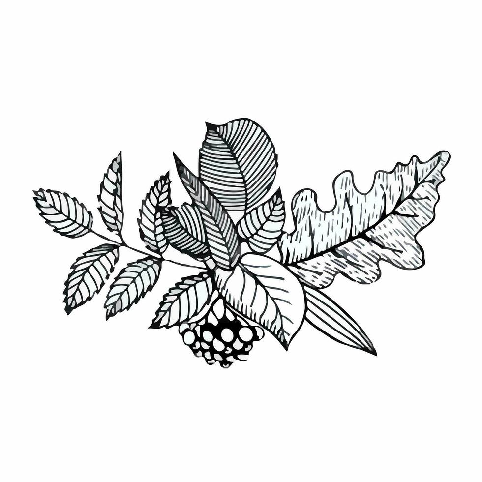 handgemalt Komposition von Herbst Blätter im Gekritzel Stil. Vektor Illustration isoliert auf Weiß Hintergrund.