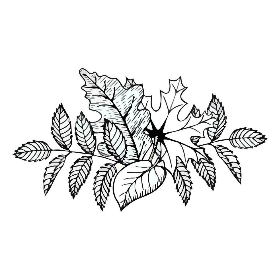 handgemalt Komposition von Herbst Blätter im Gekritzel Stil. Vektor Illustration isoliert auf Weiß Hintergrund.