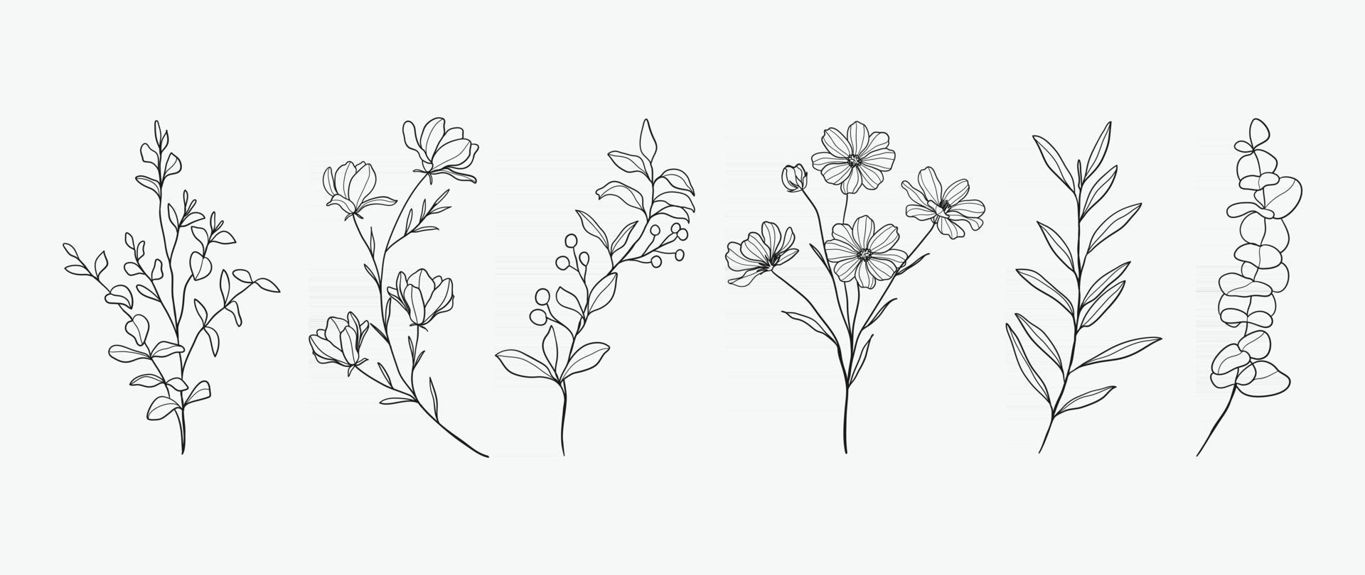 minimal botanisk handritningsdesign för logotyp och bröllopsinbjudan. blommig konst. blomma och blad design samling för buketter dekoration, kort och förpackning bakgrund. vektor