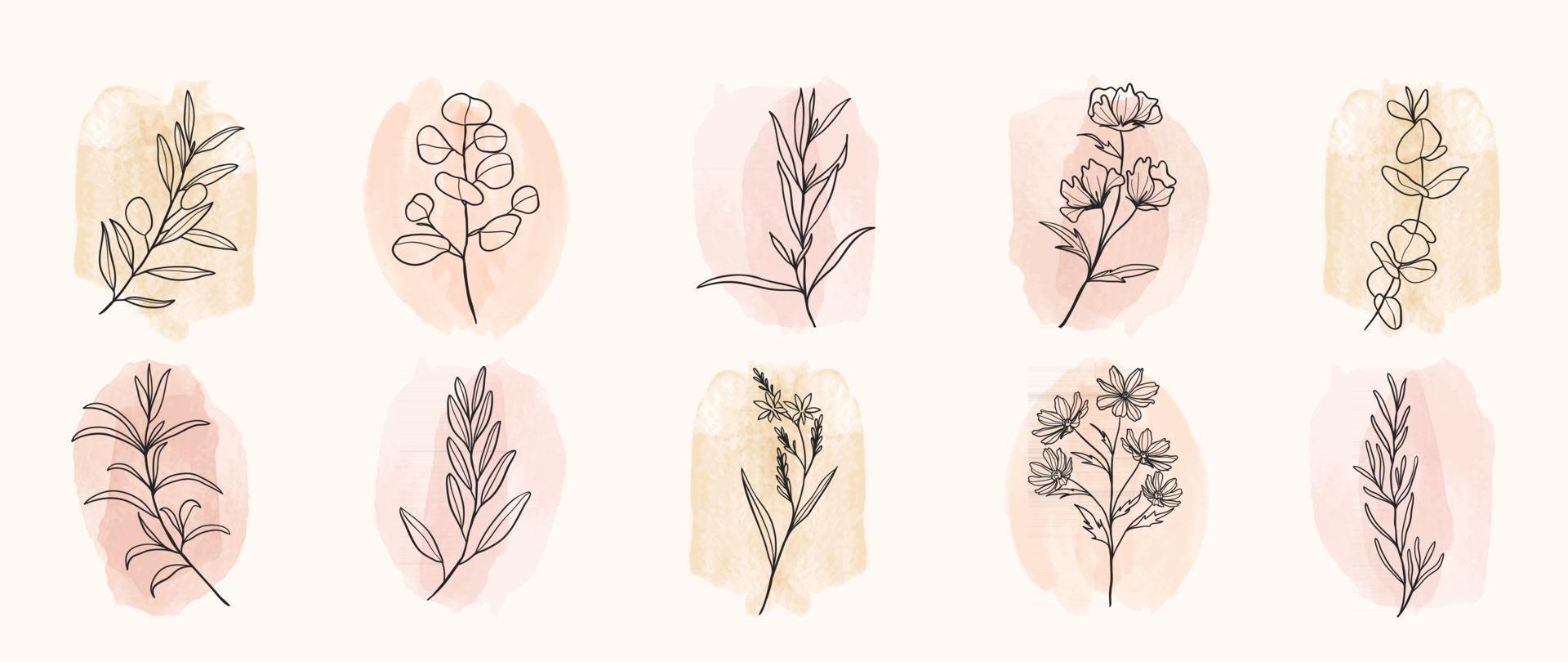 minimales botanisches Handzeichnungsdesign für Logo und Hochzeitseinladung. florale Strichzeichnungen. Blumen und Blätter auf Aquarellhintergrund-Designsammlung für Blumensträußedekoration, einladen, Verpackungsdesign vektor