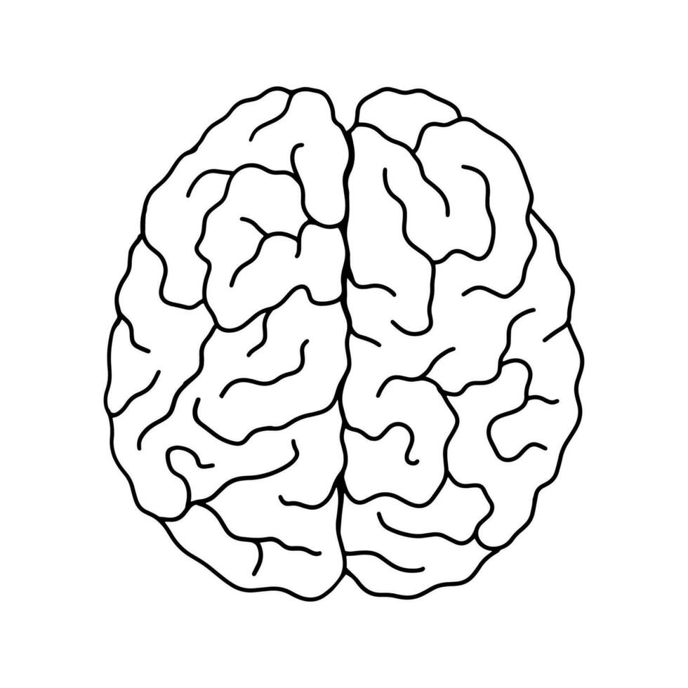 hjärna linje ikon isolerat på vit bakgrund. översikt vektor illustration.