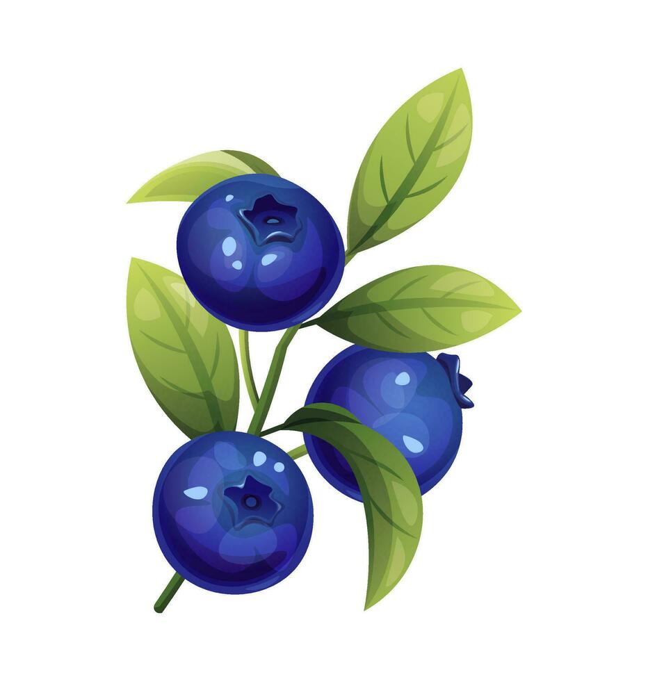 Blaubeeren auf ein Weiß isoliert Hintergrund. Ast von Wald Blaubeere im Karikatur Stil. Beeren und Blätter zum Dekor, Aufkleber, Drucke, Abzeichen. vektor