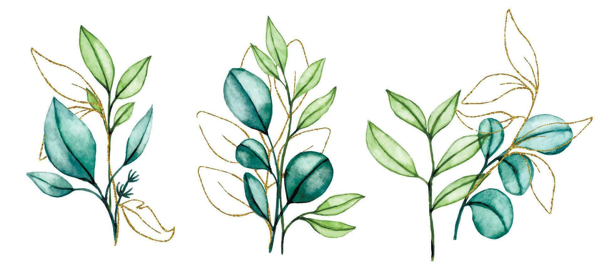 Aquarell Zeichnung, ein einstellen von Blumensträuße, Kompositionen von transparent Eukalyptus Blätter mit Gold Elemente. vektor