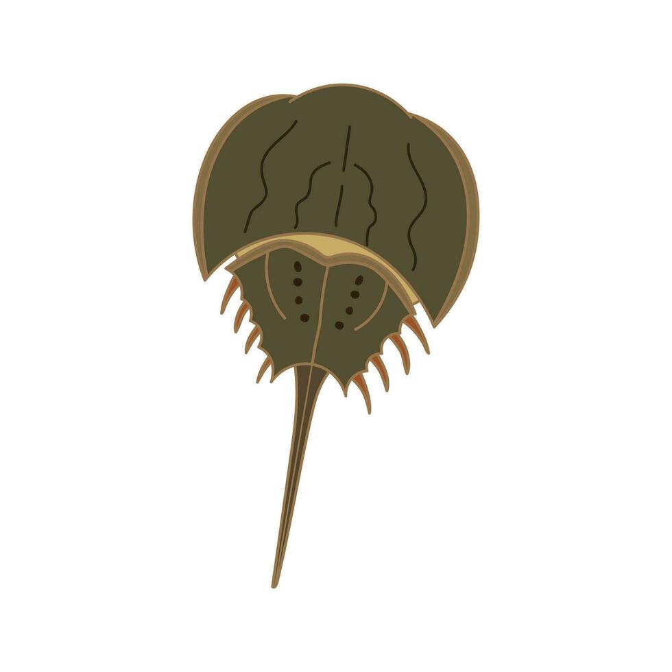 tecknad serie vektor illustration hästsko krabba ikon isolerat på vit bakgrund