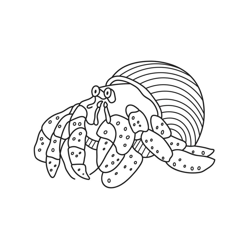 hand dragen tecknad serie vektor illustration söt eremit krabba ikon isolerat på vit bakgrund