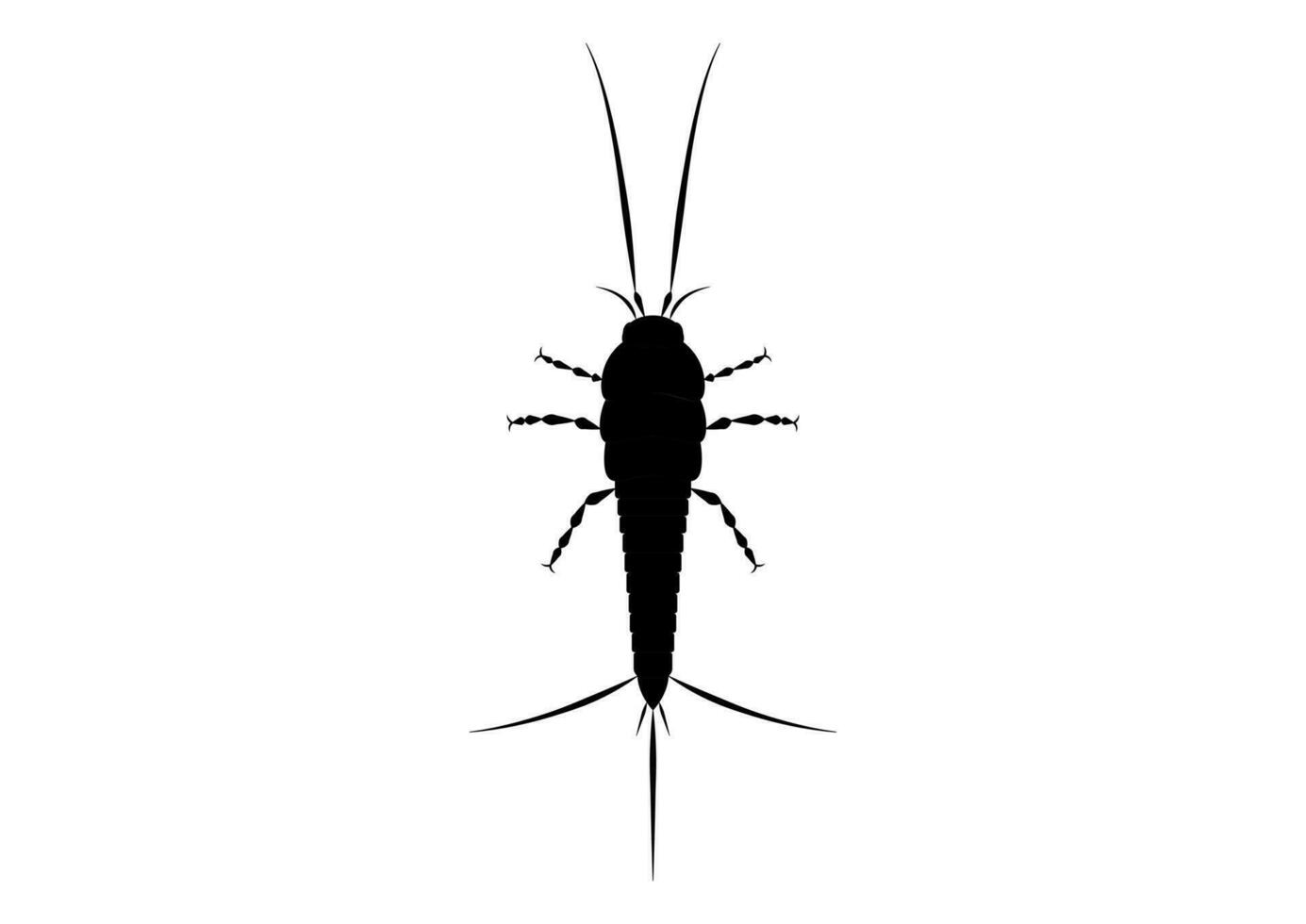 schwarz und Weiß Thysanura Insekt Vektor Clip Art