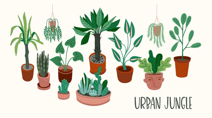 Stadsdjungel. Vektor illustration med krukväxter.