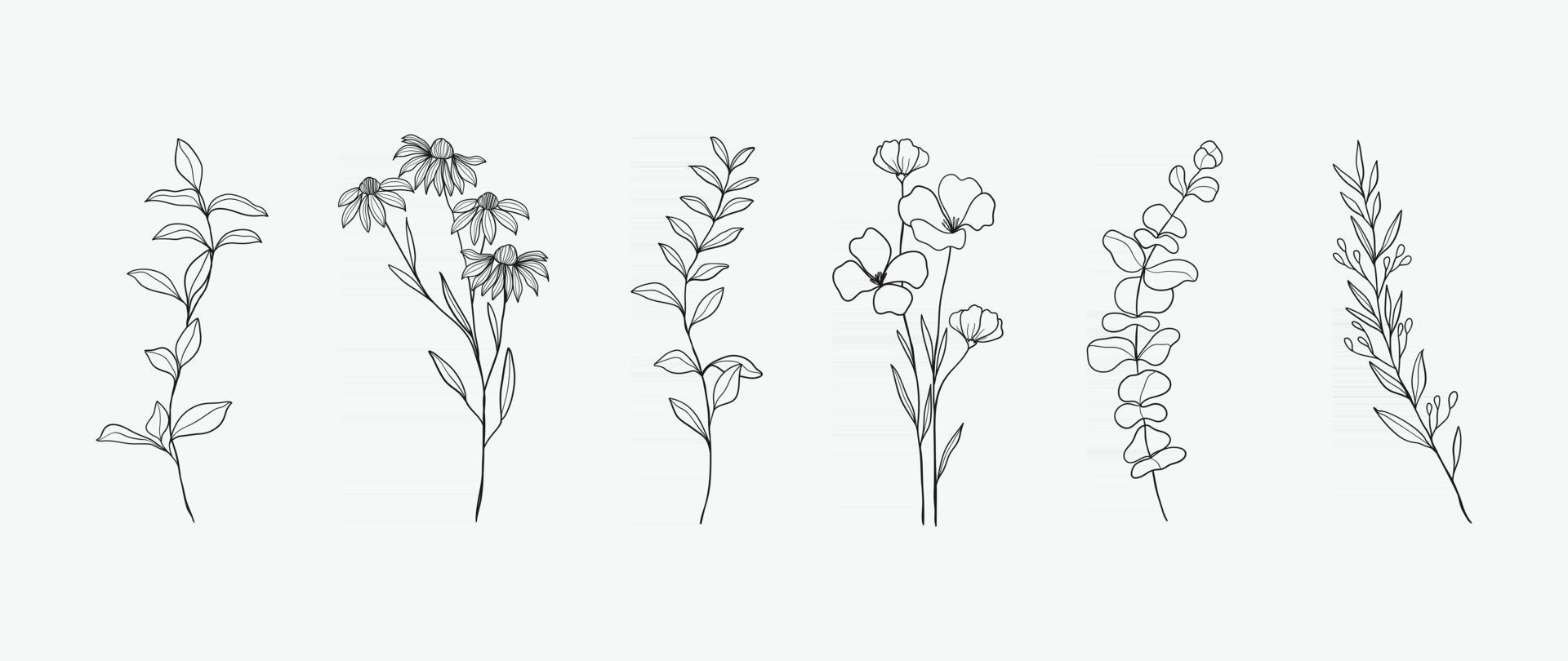 minimal botanisk handritningsdesign för logotyp och bröllopsinbjudan. blommig konst. blomma och blad design samling för buketter dekoration, kort och förpackning bakgrund. vektor