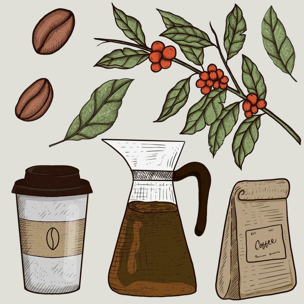 Illustration Elemente Kaffee Zweig, Blätter, Bohnen, Tasse, Pack, und Teekanne vektor