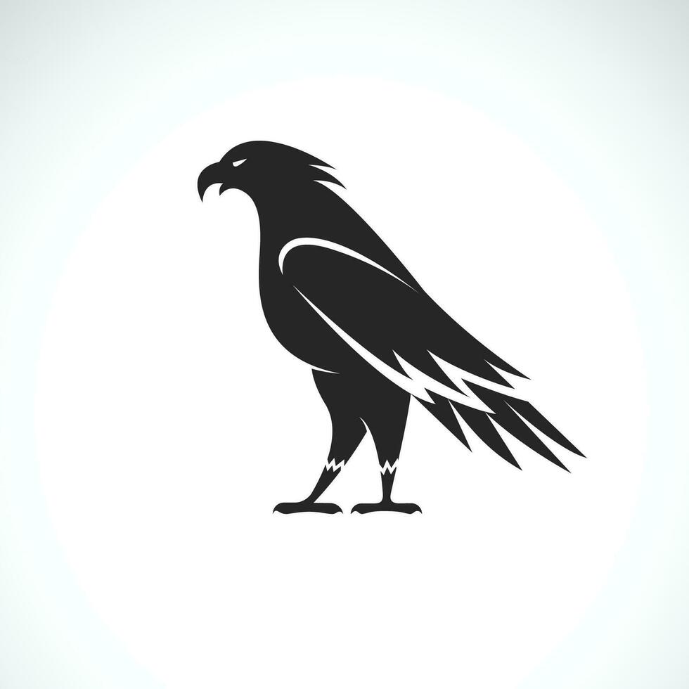Vektor von ein Adler Design auf Weiß Hintergrund. einfach editierbar geschichtet Vektor Illustration. Vögel. wild Tiere.