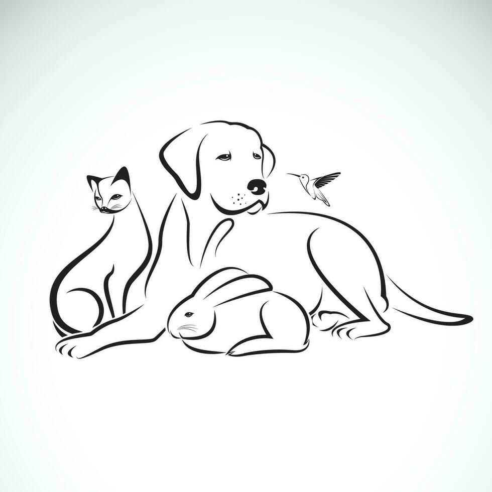 vektor grupp av husdjur på vit bakgrund. hund, katt, brummande fågel, kanin, lätt redigerbar skiktad vektor illustration.