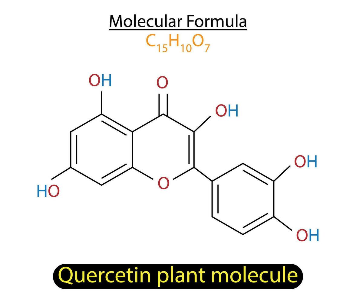 quercetin Pflanze Molekül Skelett- Formel Vektor Illustration.